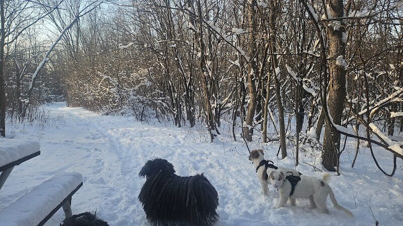 Granville Dog Park - Milwaukee, WI