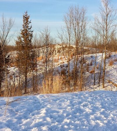 Granville Dog Park - Milwaukee, WI