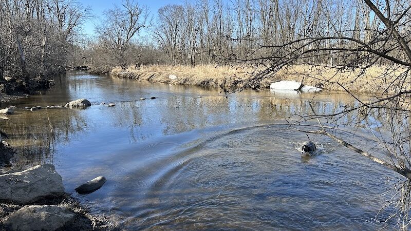 Granville Dog Park - Milwaukee, WI