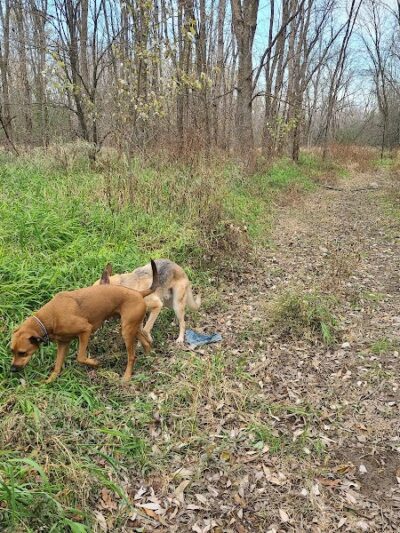 Granville Dog Park - Milwaukee, WI