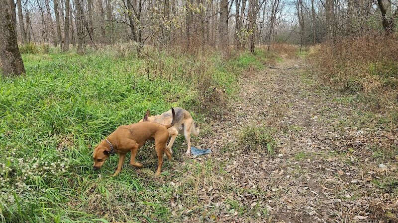 Granville Dog Park - Milwaukee, WI