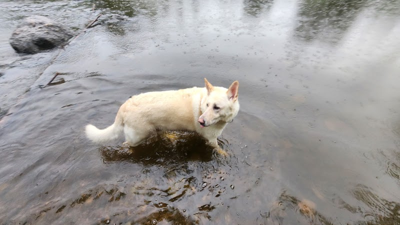 Granville Dog Park - Milwaukee, WI