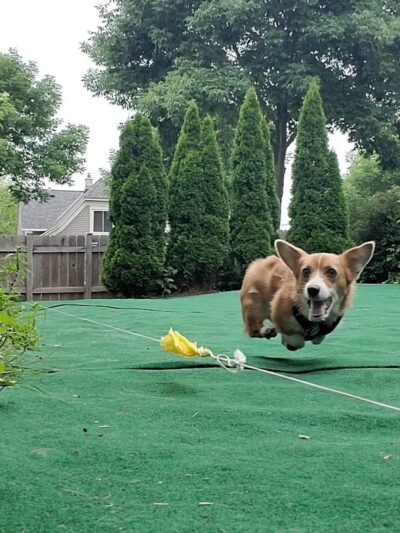 Speed Weenies on Howell - Milwaukee, WI