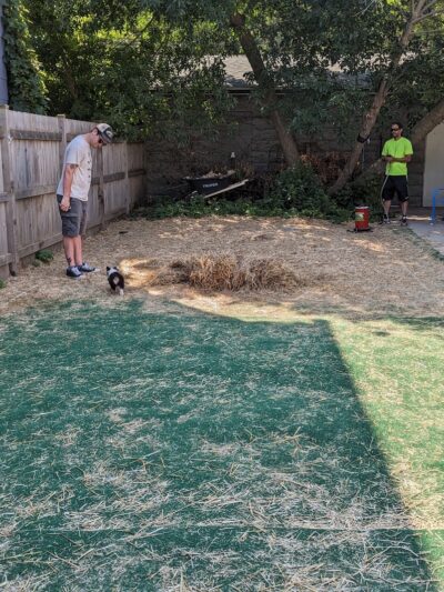 Speed Weenies on Howell - Milwaukee, WI