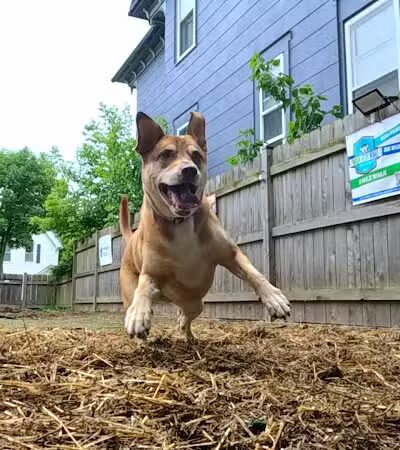 Speed Weenies on Howell - Milwaukee, WI