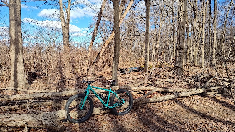 Dickerson Mine Preserve - Mine Hill Township, NJ