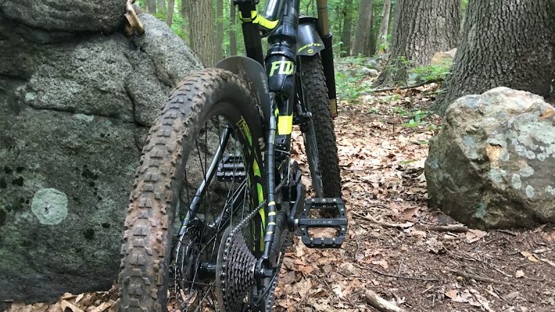 Dickerson Mine Preserve - Mine Hill Township, NJ