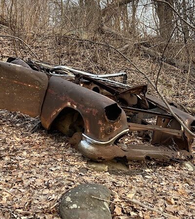 Dickerson Mine Preserve - Mine Hill Township, NJ