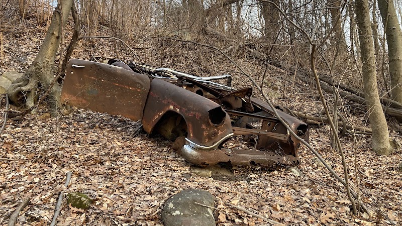 Dickerson Mine Preserve - Mine Hill Township, NJ