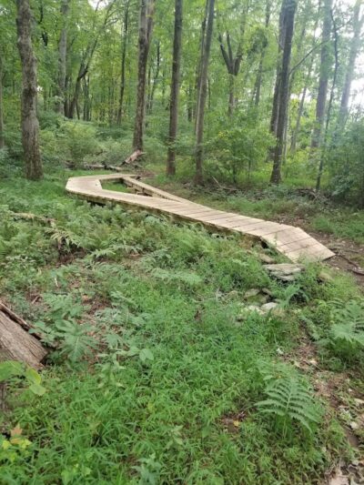 Dickerson Mine Preserve - Mine Hill Township, NJ