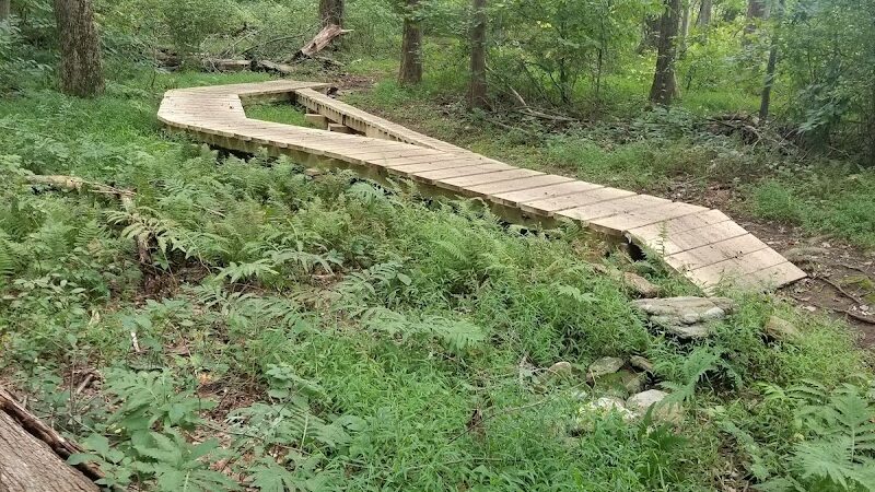 Dickerson Mine Preserve - Mine Hill Township, NJ