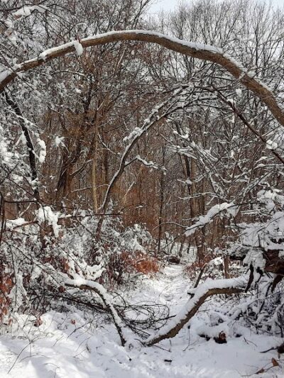 Dickerson Mine Preserve - Mine Hill Township, NJ