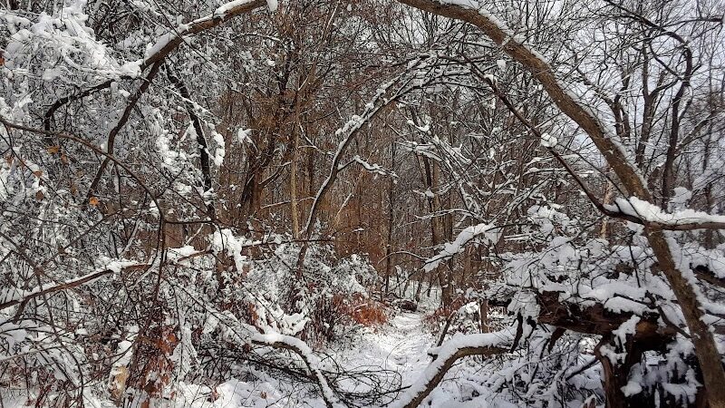 Dickerson Mine Preserve - Mine Hill Township, NJ