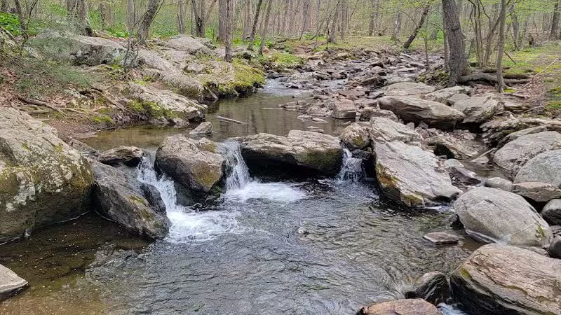 Hedden Park - Mine Hill Township, NJ