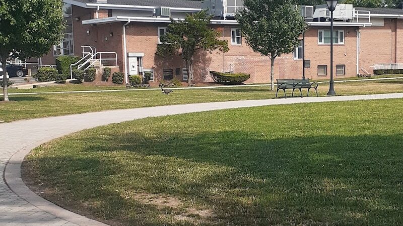 Mineola Memorial Park - Mineola, NY