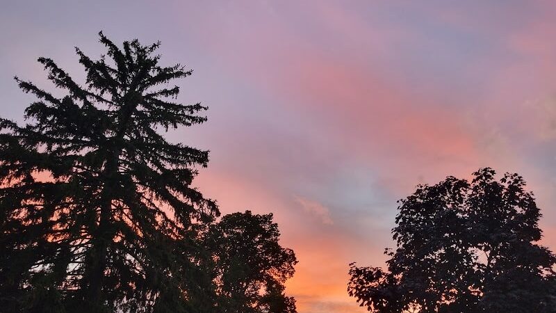 Mineola Memorial Park - Mineola, NY