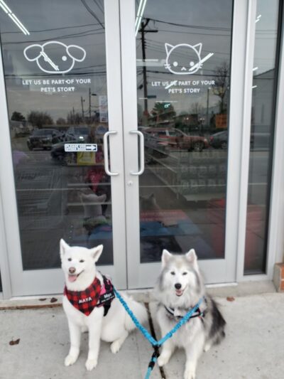 Pet Story NY - Mineola, NY