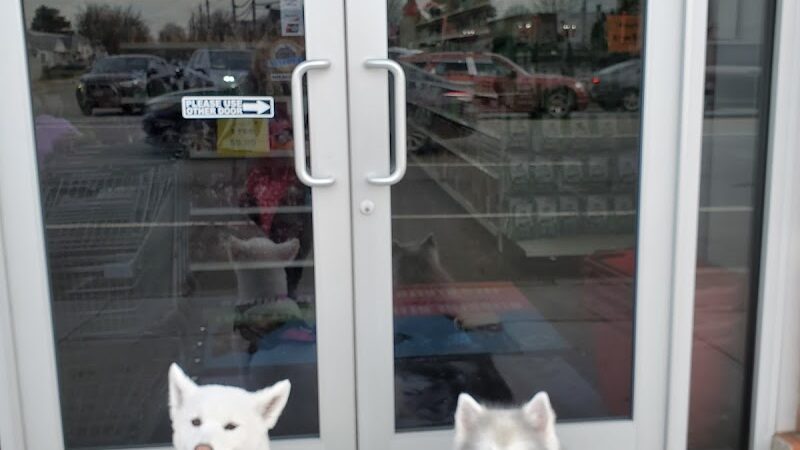 Pet Story NY - Mineola, NY
