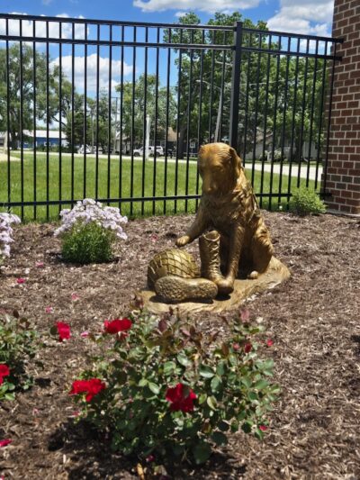 Veterans Dog Park - Minooka, IL