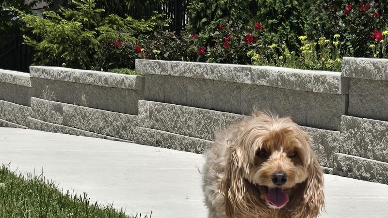 Veterans Dog Park - Minooka, IL