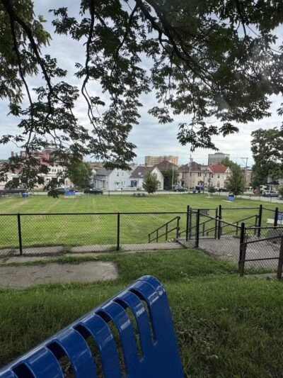 Butterworth Dog Park - Moline, IL