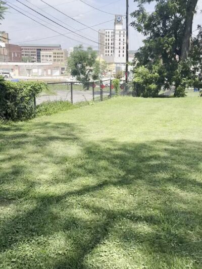 Butterworth Dog Park - Moline, IL