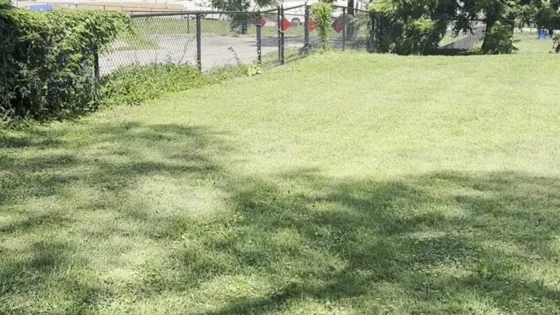 Butterworth Dog Park - Moline, IL