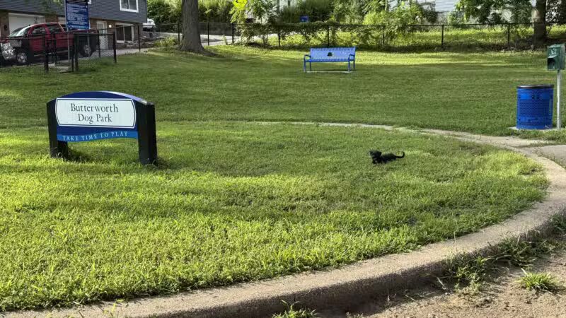 Butterworth Dog Park - Moline, IL
