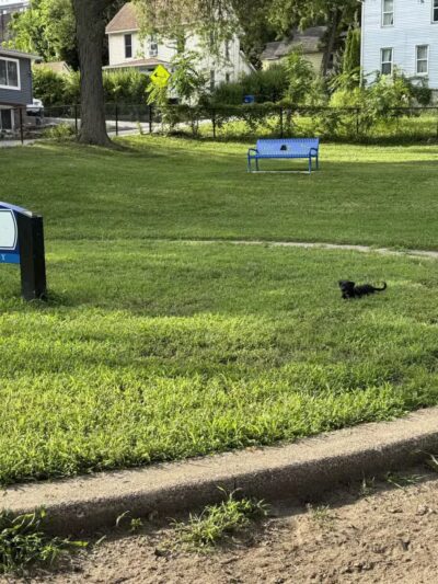 Butterworth Dog Park - Moline, IL
