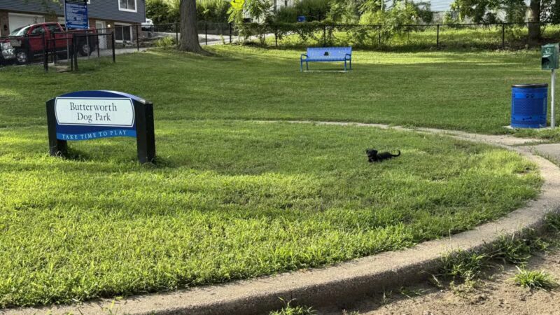 Butterworth Dog Park - Moline, IL
