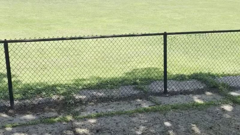 Butterworth Dog Park - Moline, IL