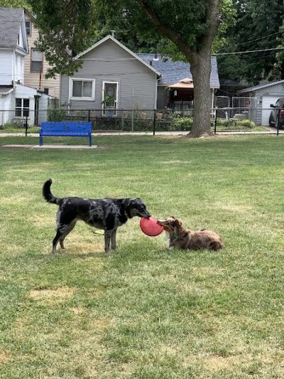 Butterworth Dog Park - Moline, IL