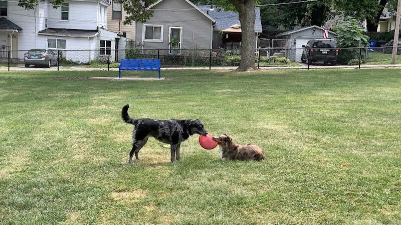 Butterworth Dog Park - Moline, IL