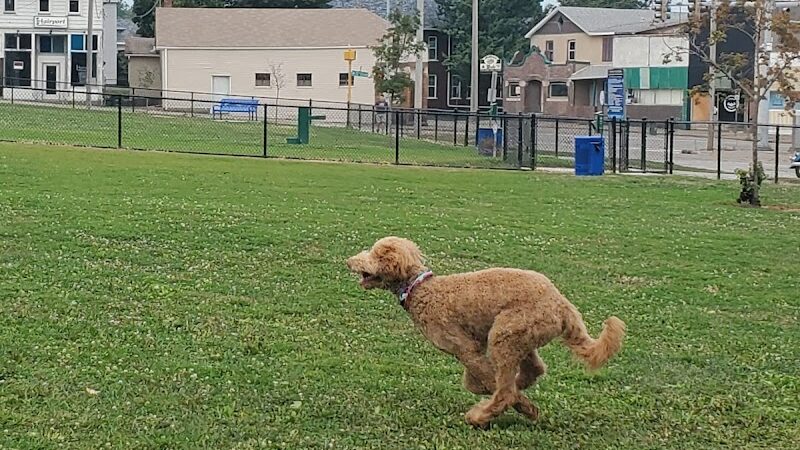 Butterworth Dog Park - Moline, IL