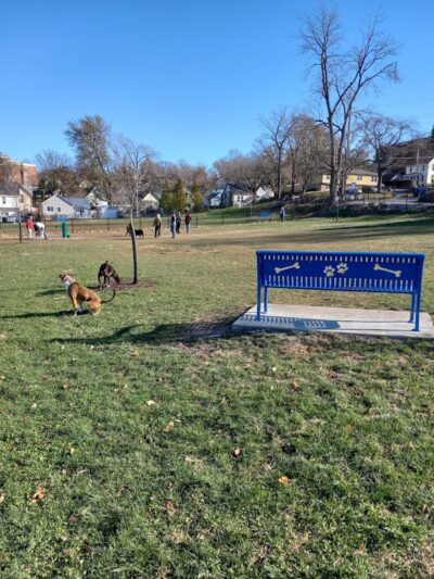 Butterworth Dog Park - Moline, IL