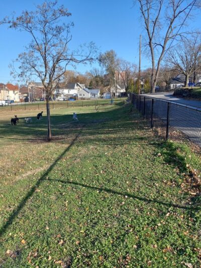 Butterworth Dog Park - Moline, IL