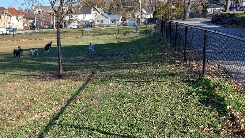 Butterworth Dog Park - Moline, IL