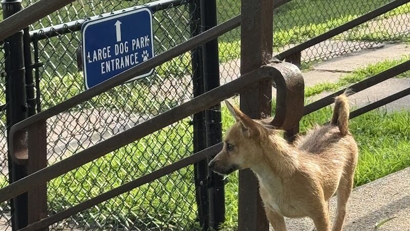 Butterworth Dog Park - Moline, IL