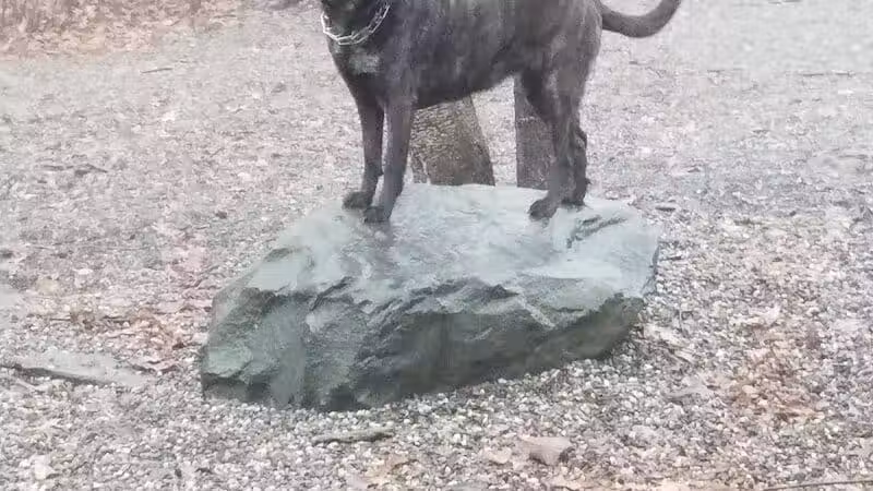 Smith Clove Dog Park - Monroe, NY