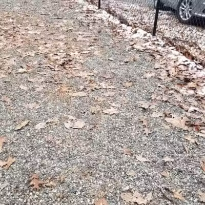 Smith Clove Dog Park - Monroe, NY