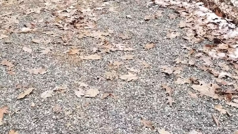 Smith Clove Dog Park - Monroe, NY