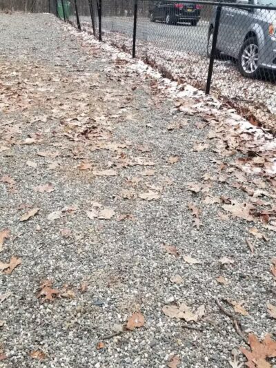 Smith Clove Dog Park - Monroe, NY