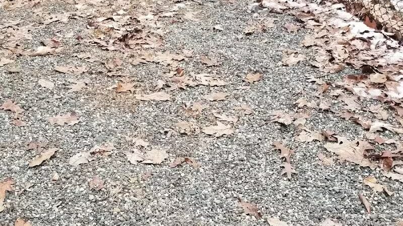 Smith Clove Dog Park - Monroe, NY