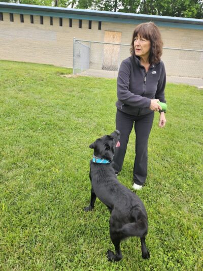 MonRover - Monroe, OH