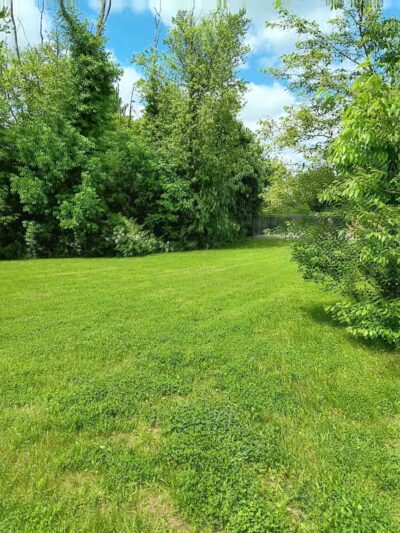 Half-Acre Park - Monroe Township, NJ