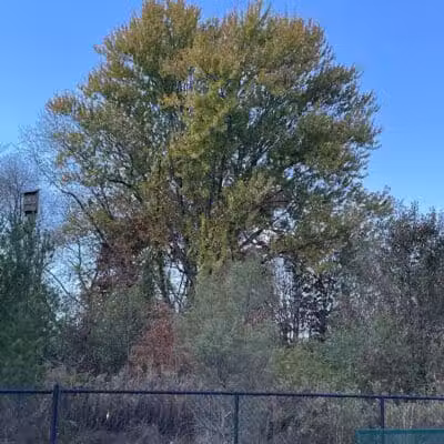 Half-Acre Park - Monroe Township, NJ