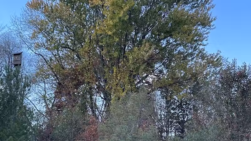 Half-Acre Park - Monroe Township, NJ