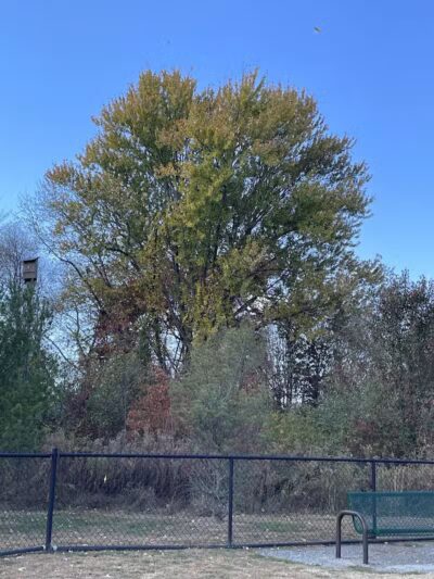 Half-Acre Park - Monroe Township, NJ