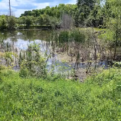 Half-Acre Park - Monroe Township, NJ