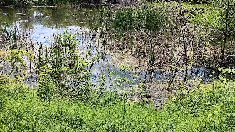 Half-Acre Park - Monroe Township, NJ